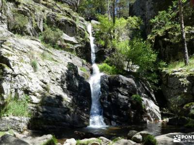 Chorranca y Silla del Rey, Cerro del Moño de la Tía Andrea;bola mundo zona norte parque natural alto